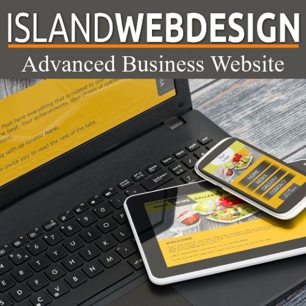 Advanced Business Website - development, publishing and hosting