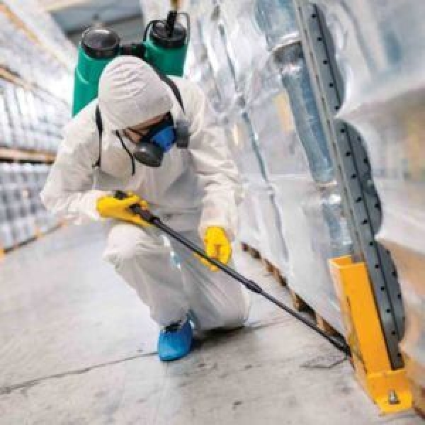 Best Pest Control Perth